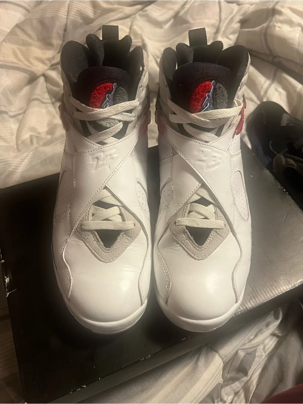 Jordan air bug